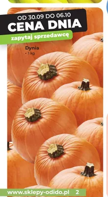 Dynia promocja w Odido