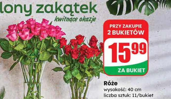 Róże 11 szt. promocja w Dino