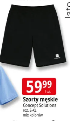 Szorty męskie Campus Essential Concept Solutions roz. S-XL mix kolorów promocja w Leclerc