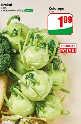 Kalarepa promocja w Dino