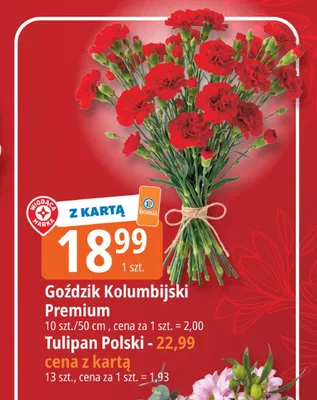 Goździk Kolumbijski Premium 10szt./50cm promocja w Leclerc