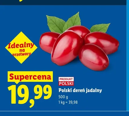 Dereń polski jadalny promocja w Lidl