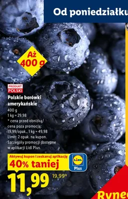Borówki amerykańskie polskie promocja w Lidl