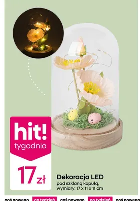 Dekoracja LED pod szklaną kopułą  promocja w Pepco