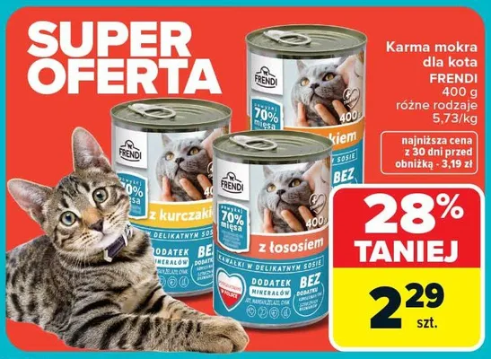 Karma mokra dla kota różne rodzaje z łososiem promocja w Carrefour
