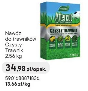 Nawóz do trawników Czysty Trawnik promocja w Castorama
