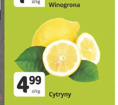 Cytryny promocja w Marketvita