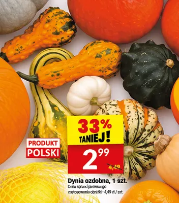 Dynia ozdobna promocja w Twój Market