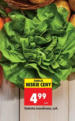Sałata masłowa promocja w Biedronka