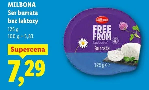 Ser promocja w Lidl
