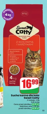 Sucha karma dla kota Sweet Catty promocja w Dino