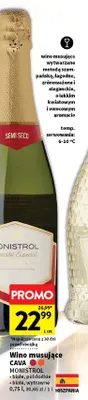 Wino musujące Cava Monistrol białe wytrawne promocja w Intermarche