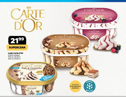 Lody Carte D'Or Les Desserts Yoghurt & Forest Fruit promocja w Netto