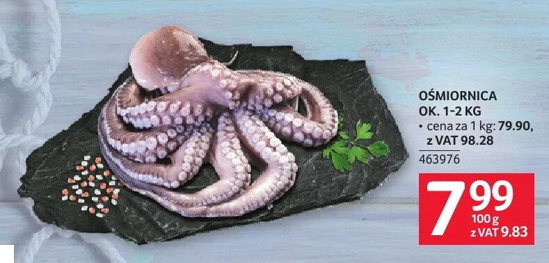 Ośmiornica ok. 1-2 kg promocja w Selgros