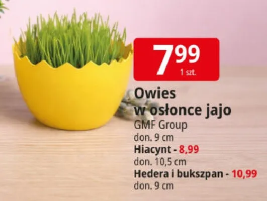 Owies w osłonce jajo GMF Group promocja w Leclerc