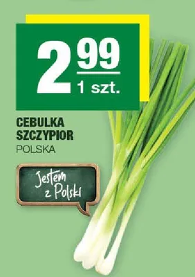 Cebulka szczypior promocja w SPAR