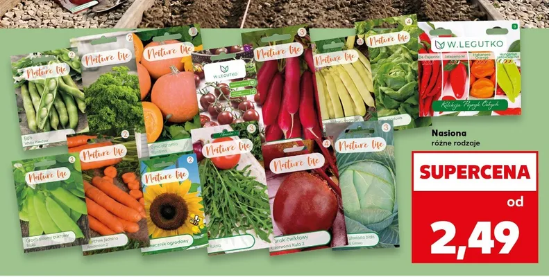 Nasiona bób White Windsor promocja w Kaufland