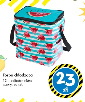 Torba chłodząca 13 l TEDi promocja w Tedi