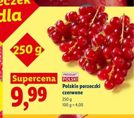 Porzeczki czerwone polskie promocja w Lidl
