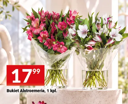 Bukiet Alstroemeria promocja w Twój Market