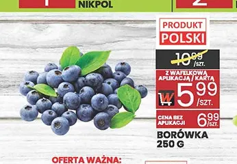 Borówka promocja w Wafelek