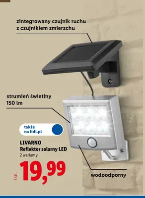 Reflektor solarny LED Livarno promocja w Lidl