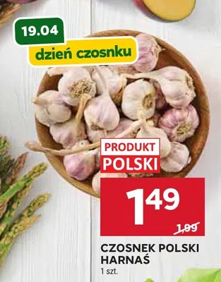 Czosnek polski harnaś promocja w Stokrotka