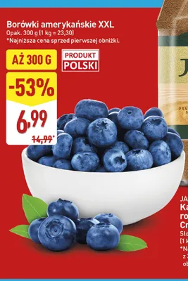 Borówki amerykańskie XXL polskie promocja w Aldi
