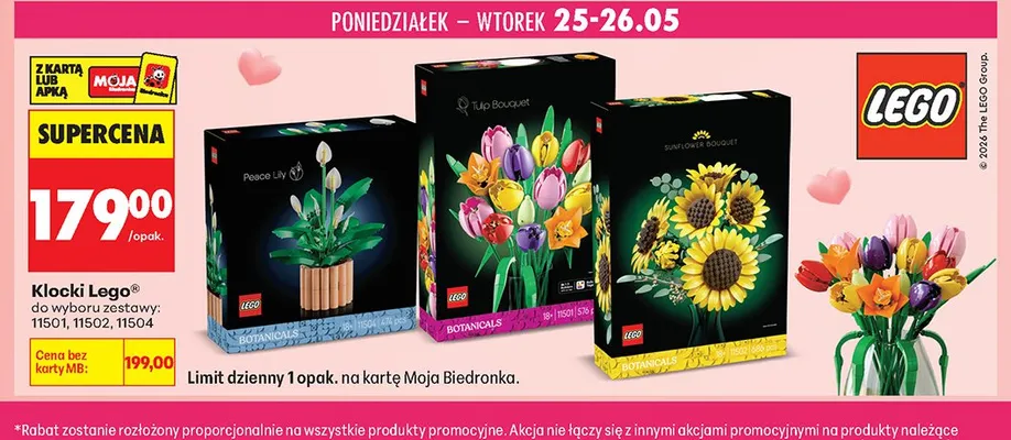 Klocki LEGO 11502 promocja w Biedronka