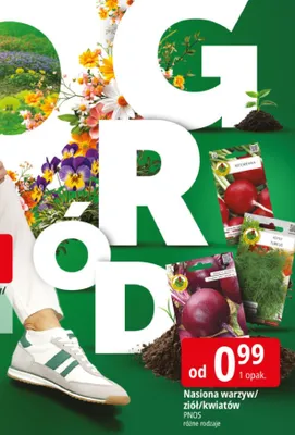 Nasiona warzyw/ziół/kwiatów promocja w Leclerc