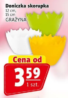 Doniczka skorupka 12cm / 15cm promocja w Prim Market