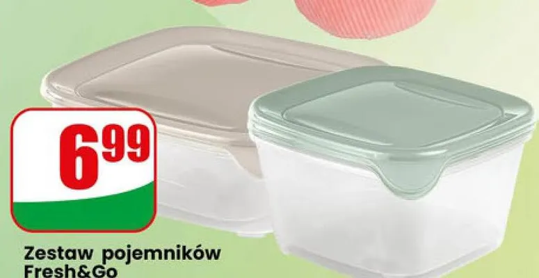 Zestaw pojemników Fresh&Go 2szt x 1l promocja w Dino