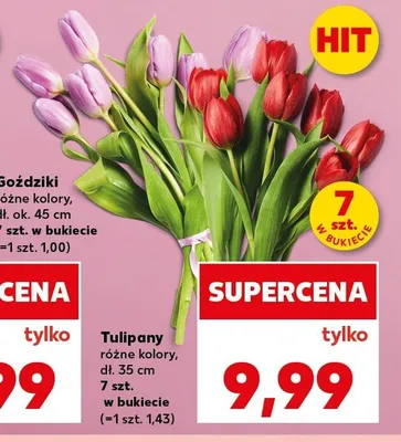 Tulipany dł. 35cm 7szt. w bukiecie promocja w Kaufland
