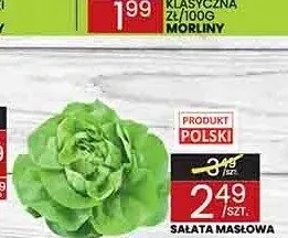 Sałata masłowa polska promocja w Wafelek
