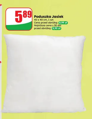 Poduszka Jasiek 40x40 cm Dino promocja w Dino