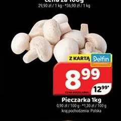 Pieczarka promocja w Delfin