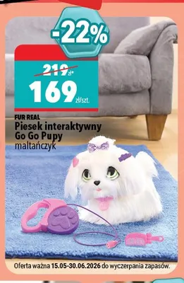 Piesek interaktywny Go Go Pupy maltańczyk Fur Real promocja w Biedronka Home