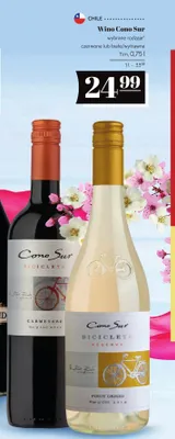 Wino Cono Sur Bicicleta Reserva Pinot Grigio białe/wytrawne promocja w POLOmarket