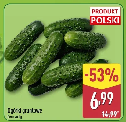 Ogórki gruntowe polskie promocja w Aldi