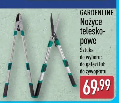 Nożyce teleskopowe, różne rodzaje promocja w Aldi