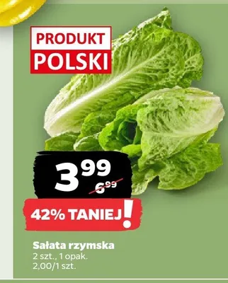 Sałata rzymska polska promocja w Netto