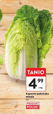 Kapusta pekińska młoda promocja w Intermarche