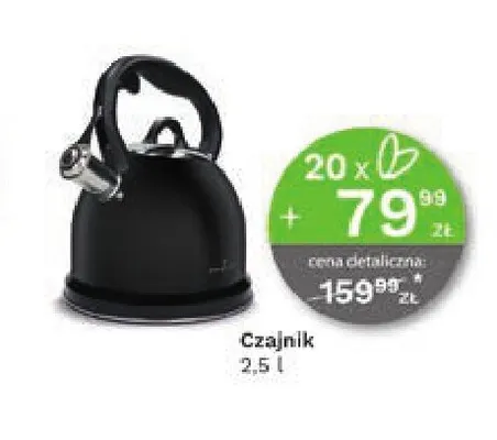 Czajnik 2,5 l Zwieger promocja w Stokrotka