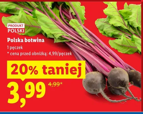 Botwina polska promocja w Lidl