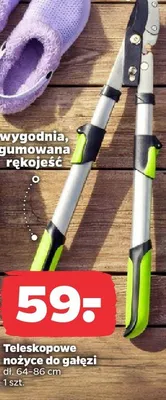 Teleskopowe nożyce do gałęzi promocja w Netto