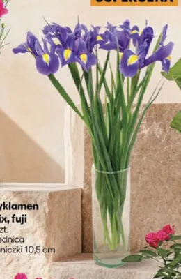 Irys promocja w Delikatesy Centrum