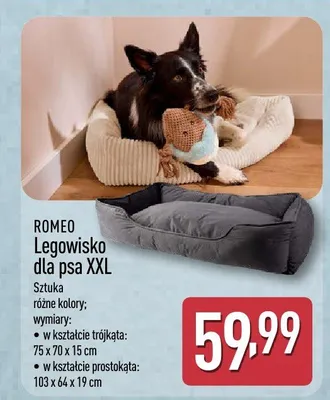 Legowisko dla psa XXL promocja w Aldi