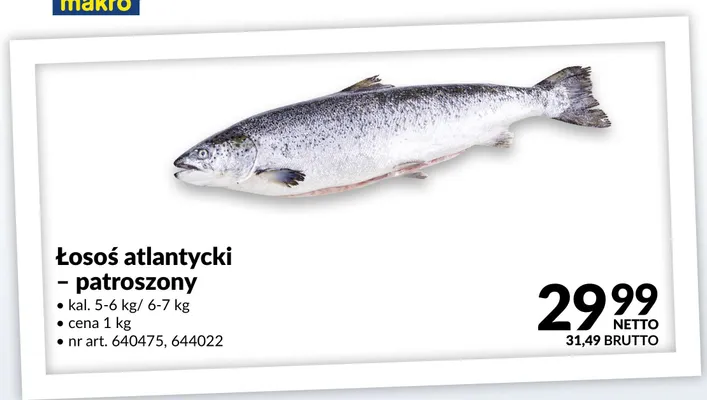 Łosoś atlantycki patroszony promocja w Makro
