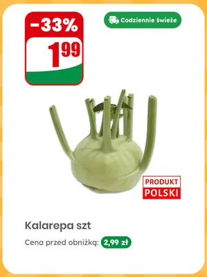 Kalarepa polska promocja w Dino