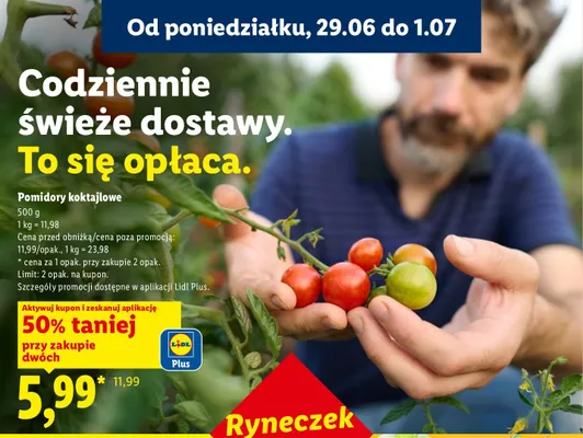 Pomidory koktajlowe Ryneczek Lidla promocja w Lidl